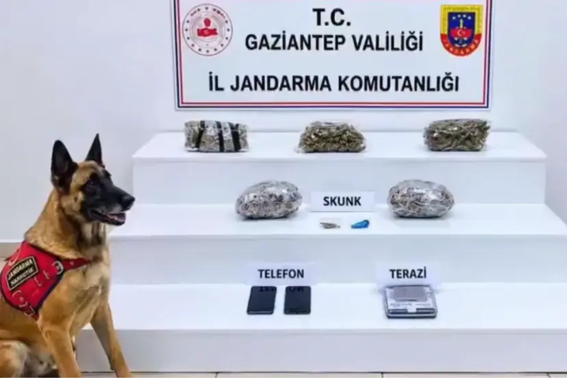 32 ilde yüzlerce kilo uyuşturucu ele geçirildi